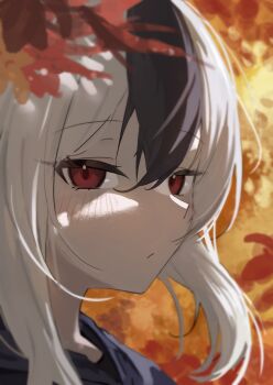 1girl absurdres autumn autumn_leaves black_hair black_hoodie blue_archive close-up commentary commentary_request dappled_sunlight english_commentary eyelashes from_side hair_between_eyes highres hood hoodie kayoko_(blue_archive) leaf looking_at_viewer mixed-language_commentary multicolored_hair orange_leaf red_eyes ryoya sideways_glance solo sunlight two-tone_hair white_hair