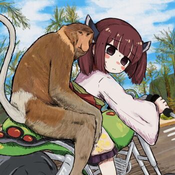 1girl blade blue_sky blunt_bangs brown_hair bubbacterial cloud cloudy_sky day feet_out_of_frame frown headgear highres japanese_clothes kimono long_sleeves looking_at_viewer looking_back monkey motor_vehicle motorcycle obi on_motorcycle outdoors palm_tree pleated_skirt proboscis_monkey purple_skirt red_eyes sash short_hair short_twintails skirt sky solo sweat nervous_sweating touhoku_kiritan tree twintails voiceroid white_kimono wide_sleeves