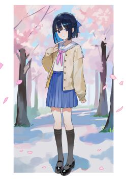 1girl absurdres black_hair black_shoes black_socks blue_hair blue_ribbon blue_skirt border closed_mouth colored_inner_hair commentary commission full_body hair_between_eyes hair_ribbon hand_up highres jacket kneehighs light_smile long_sleeves looking_at_viewer multicolored_hair nbee_ya neckerchief open_clothes open_jacket original outdoors pink_neckerchief pink_petals ribbon sailor_collar shirt shoes short_hair skirt socks solo standing tree two-tone_hair white_border white_sailor_collar white_shirt yellow_jacket
