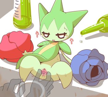 1girl anus blank_eyes blue_flower blue_rose bottle catheter clitoris colored_skin crepix cup disembodied_hand drinking_glass female_focus flower full_body gen_3_pokemon green_skin half-closed_eyes japanese_text jitome large_variant_set leaning_back monster_girl nintendo no_feet pee plant_girl pokemon pokemon_(creature) pussy pussy_juice red_flower red_rose rose roselia_(pokemon) sitting solo_focus spread_legs spread_pussy spreading_another&#039;s_pussy sweat tears translation_request uncensored urethra variant_set white_eyes