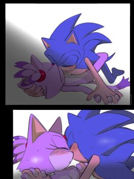 1boy 1girl animal_ears blaze_the_cat blue_fur cat_ears cat_girl closed_eyes forehead_jewel furry furry_female furry_male highres holding_hands interspecies leg_lock leg_wrap lying on_back purple_fur sex sonic_(series) sonic_the_hedgehog sweat yeonwu08