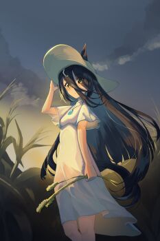Rule 34 | 1girl, ahoge, animal ears, black hair, blush, cloud, dev grater, dress, ears through headwear, field, hair between eyes, hat, highres, holding, holding wheat, horse ears, horse girl, horse tail, long bangs, long hair, long hair between eyes, looking at viewer, manhattan cafe (umamusume), multicolored hair, outdoors, short hair, sky, solo, sun hat, tail, umamusume, wheat field, white dress, white hair, yellow eyes