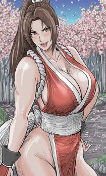 1girl breasts fatal_fury kamegallery large_breasts long_hair shiranui_mai