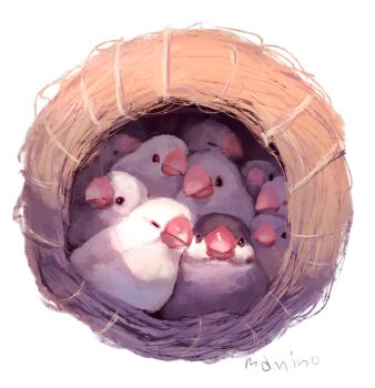 animal_focus bad_id bad_pixiv_id bird black_eyes closed_mouth commentary_request closed_eyes highres java_sparrow looking_at_viewer manino_(mofuritaionaka) no_humans original signature simple_background white_background