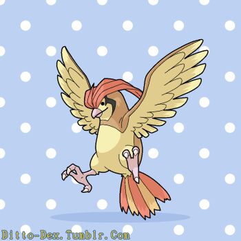 artist_name beak bird blue_background ditto gen_1_pokemon madame_quin nintendo no_humans pidgeotto pokemon pokemon_(creature) polka_dot polka_dot_background solo transformed_ditto tumblr_username watermark web_address