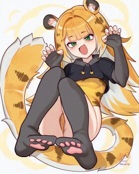 1girl :3 animal_ear_fluff animal_ears animal_print artist_name black_gloves black_thighhighs blonde_hair blush breasts cameltoe claw_pose colored_inner_hair dot_nose elbow_gloves fingerless_gloves gao gloves green_eyes half-closed_eyes hands_up highleg highleg_leotard highres ju_fufu knees_together_feet_apart knees_up leotard loli long_hair looking_at_viewer multicolored_hair open_mouth paw_print print_leotard small_breasts smile solo sunset_nivaris tail thigh_strap thighhighs thighs tiger_ears tiger_girl tiger_print tiger_tail very_long_tail white_hair yellow_leotard zenless_zone_zero zettai_ryouiki