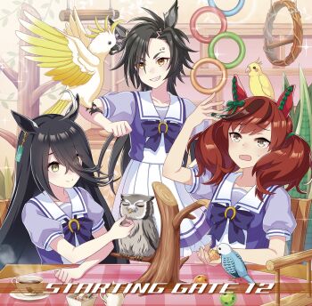 3girls ahoge air_shakur_(umamusume) album_cover animal animal_ears animal_on_head bird bird_on_head black_hair blush bow bowtie breasts brown_eyes brown_hair closed_eyes closed_mouth coffee cover ear_bow ear_covers ear_ribbon ear_tag earrings eyebrow_piercing face_piercing green_bow hair_between_eyes highres horse_ears horse_girl horse_tail jewelry long_bangs long_hair long_hair_between_eyes manhattan_cafe_(umamusume) medium_hair multicolored_hair multiple_girls nice_nature_(umamusume) official_art on_head open_mouth owl piercing plant pleated_skirt potted_plant puffy_short_sleeves puffy_sleeves purple_bow purple_bowtie purple_shirt sailor_collar sailor_shirt school_uniform shirt short_sleeves single_earring skirt smile steaming_cup streaked_hair tail teeth third-party_source tracen_school_uniform twintails umamusume very_long_hair white_hair white_sailor_collar white_skirt yellow_eyes
