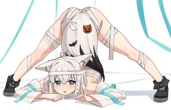 1girl adapted_costume ahoge animal_ear_fluff animal_ear_piercing animal_ears ankle_boots arched_back ass bandage_on_thigh bandaged_leg bandages bat_ornament black_boots blue_eyes blush boots braid breasts budget_sarashi commentary detached_sleeves double-parted_bangs embarrassed flexible flower-shaped_pupils fold-over_boots fox_ears fox_girl fox_tail fubuzilla_(shirakami_fubuki) full_body grey_hair hair_between_eyes halloween hands_on_ground highres hololive jack-o'-lantern_ornament jack-o'_challenge long_hair looking_at_viewer medium_breasts naked_bandage no_legwear open_mouth paid_reward_available sarashi shirakami_fubuki shirakami_fubuki_(1st_costume) side_braid sideboob solo spread_legs standing symbol-shaped_pupils tail tail_ornament tearing_up top-down_bottom-up virtual_youtuber white_sleeves wide_sleeves wide_spread_legs woogi_(duguddnr)