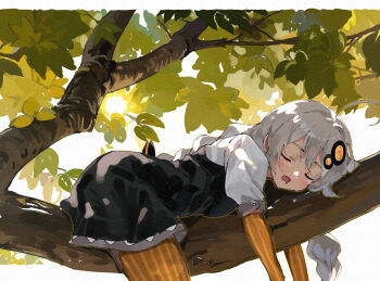 1girl ahoge black_dress blush braid breasts closed_eyes commentary_request dress drooling facing_viewer gloves grey_hair hair_ornament highres in_tree kizuna_akari lamb_(hitsujiniku) long_hair low_twintails medium_breasts mouth_drool open_mouth outdoors pantyhose puffy_short_sleeves puffy_sleeves shirt short_sleeves simple_background sleeping solo striped_clothes striped_gloves striped_pantyhose tree twin_braids twintails vertical-striped_clothes vertical-striped_gloves vertical-striped_pantyhose very_long_hair voiceroid white_background white_shirt