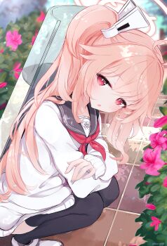 1girl absurdres black_hair black_sailor_collar blue_archive commentary crossed_arms day expressionless fingernails flower flower_request from_side full_body halo highres long_hair long_sleeves looking_at_viewer looking_to_the_side natsu_(blue_archive) neckerchief one_side_up outdoors parted_lips pink_eyes pink_flower pink_hair pink_halo red_neckerchief sailor_collar sakurano_rocco school_uniform shirt solo squatting tiles turning_head white_shirt