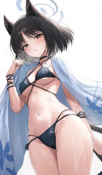 1girl absurdres animal_ears bikini black_bikini black_choker black_hair blue_archive blush breasts bright_pupils cat_ears cat_tail choker commentary dutch_angle gabang groin halo haori highres japanese_clothes kikyou_(blue_archive) kikyou_(swimsuit)_(blue_archive) looking_at_viewer medium_breasts multiple_tails navel official_alternate_costume revision short_hair side-tie_bikini_bottom simple_background solo stomach string_bikini swimsuit tail underboob white_background white_pupils