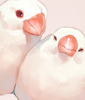 animal_focus bad_id bad_pixiv_id bird commentary_request closed_eyes grey_background highres java_sparrow manino_(mofuritaionaka) no_humans original red_eyes signature simple_background