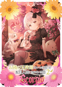 1girl arm_strap arm_support black_dress black_hat black_thighhighs blonde_hair blunt_bangs bow braid braided_ponytail cat closed_mouth commentary_request copyright_name copyright_notice dress flower frilled_dress frills hat head_tilt highres holding holding_own_hair jack-o'-lantern looking_at_viewer mini_hat mini_top_hat official_art otonari_no_tenshi-sama_ni_itsu_no_mani_ka_dame_ningen_ni_sarete_ita_ken ponytail puffy_short_sleeves puffy_sleeves red_bow scorpio_(zodiac) shiina_mahiru_(otonari_no_tenshi-sama) short_dress short_sleeves sitting stuffed_animal stuffed_toy teddy_bear tenshisama_pr thighhighs top_hat translation_request yellow_eyes zodiac