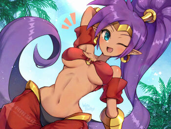 Rule 34 | 1girl, ;d, arm behind head, artist name, bandeau, bare shoulders, blue eyes, blue sky, bracer, breasts, circlet, commentary request, dark-skinned female, dark skin, dutch angle, earrings, floating hair, harem pants, high ponytail, highres, hoop earrings, jewelry, lens flare, light blush, long hair, looking at viewer, medium breasts, navel, no nose, notice lines, o-ring, o-ring top, one eye closed, open mouth, outdoors, palm leaf, pants, pointy ears, ponytail, purple hair, red bandeau, red pants, see-through clothes, see-through legwear, shantae, shantae (series), silk clothing, sky, smile, solo, stomach, very long hair, wakaba (wata ridley), watermark