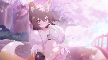 Rule 34 | 1girl, absurdres, animal ears, blue archive, brown hair, cherry blossoms, commentary, dress, exusiai dust, fox ears, fox girl, fox tail, fur-trimmed dress, fur trim, halo, highres, izuna (blue archive), izuna (dress) (blue archive), looking at viewer, medium hair, official alternate costume, outdoors, pink dress, pink halo, revision, solo, tail, yellow eyes