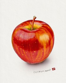 absurdres apple artist_name commentary_request food food_focus fruit fruit_focus highres no_humans original pistol_handmade_(artist) white_background