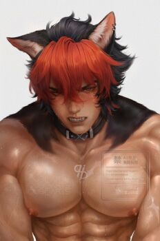 1boy abs animal_ear_piercing animal_ears black_hair blush brown_eyes clenched_teeth closed_mouth komano_manato looking_at_viewer male_focus multicolored_hair muscular muscular_male nipples nude pectorals qubi red_hair scar scar_on_arm scar_on_chest scar_on_face simple_background solo sweat teeth two-tone_hair upper_body watermark white_background zenless_zone_zero