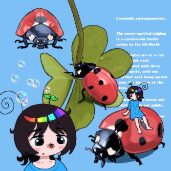1girl :o ahoge antennae black_hair blue_background blue_eyes blue_shirt blush bug clover eli_(chibitoad) english_text highres insect insect_on_nose jaggy_lines ladybug mini_person minigirl original plant_on_head riding shirt short_hair short_sleeves soap_bubbles text_background