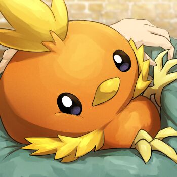 Rule 34 | 1other, absurdres, animal focus, beak, bird, black eyes, bright pupils, commentary request, gen 3 pokemon, highres, looking at viewer, nintendo, pokemon, pokemon (creature), pokemon focus, solo focus, spicyichizo, talons, torchic, white pupils