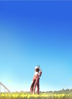 1girl animal_ears blue_sky cheval_grand_(umamusume) ears_through_headwear from_behind grass hakugitsu hat highres horse_ears horse_girl horse_tail jacket long_hair outdoors pants peaked_cap red_jacket red_pants red_track_suit sky tail tracen_training_uniform track_jacket track_pants track_suit umamusume white_hat