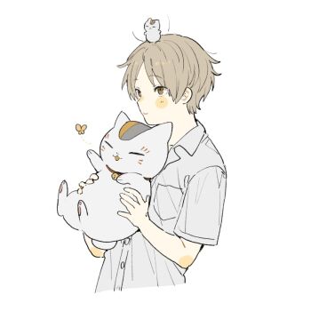 Rule 34 | 1boy, animal, blush, breast pocket, brown eyes, brown hair, bug, butterfly, cat, closed eyes, collared shirt, commentary request, cropped torso, dress shirt, hanami (mimi 01281218), holding, holding animal, holding cat, insect, looking ahead, male focus, multicolored cat, natsume takashi, natsume yuujinchou, nyanko-sensei, on head, open mouth, parted bangs, paw up, pocket, shirt, short sleeves, simple background, white background, wing collar
