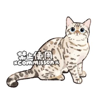animal animal_focus bengal_cat blue_eyes cat commission full_body looking_at_viewer no_humans original simple_background sitting snow_bengal_cat solo tabby_cat watermark white_background white_cat xiao_bo_kuai_kuai