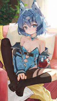 1girl absurdres animal_ears black_socks blue_eyes blue_hair breasts haimaotuanzi highres jacket leotard looking_at_viewer no_shoes original sitting small_breasts socks solo