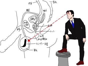 1boy black_hair blue_necktie cross-section formal_clothes necktie suit tagme testicles what