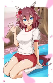 Rule 34 | 1girl, animal ears, blue hair, breasts, buruma, cherry blossoms, commentary request, enukee, full body, gym uniform, hair between eyes, hair flaps, hair ornament, hanami, highres, horse ears, horse tail, looking at viewer, medium breasts, medium hair, open mouth, petals, pink hair, sakura chiyono o (umamusume), seiza, sitting, socks, solo, tail, thighs, tree, umamusume, white socks