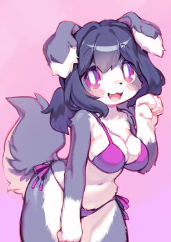 1girl :3 absurdres arms_at_sides black_hair bra breasts bright_pupils cleavage clenched_hands commentary cowboy_shot dog_girl double-parted_bangs english_commentary fang floppy_ears furry gift_art gradient_background grey_fur hand_up happy highres large_breasts leaning_forward light_blush medium_hair navel open_mouth original panties paw_pose pink_background pink_eyes protodesu purple_bra purple_panties raised_eyebrows sideways_glance smile solo tail two-tone_fur underwear underwear_only white_fur white_pupils