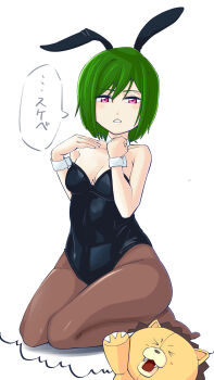 Rule 34 | 1boy, 1girl, absurdres, animal ears, bare shoulders, black leotard, bleach, breasts, collarbone, cuffs, fake animal ears, fake bunny ears, green hair, highres, japanese text, kon (bleach), kujo nozomi, leotard, medium hair, pantyhose, playboy bunny, small breasts, speech bubble, strapless, strapless leotard, stuffed animal, stuffed lion, stuffed toy, tagatame112, translation request, white wrist cuffs, wrist cuffs