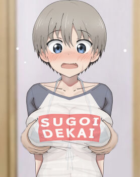 1boy 1girl bikini bikini_under_clothes black_shirt blue_eyes blush breasts cleavage clothes_writing collarbone curtains fang grabbing_another's_breast grey_hair groping large_breasts looking_down micro_bikini navel open_mouth poa_mellhen raglan_sleeves see-through_clothes see-through_shirt shirt short_hair short_sleeves standing sugoi_dekai surprised sweat swimsuit underboob upper_body uzaki-chan_wa_asobitai! uzaki_hana white_bikini