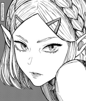 1girl braid close-up commentary crosshatching crown_braid english_commentary eyelashes hair_ornament hairclip hatching_(texture) highres lips looking_at_viewer nintendo parted_lips portrait princess_zelda seveninks solo the_legend_of_zelda the_legend_of_zelda:_tears_of_the_kingdom twitter_username