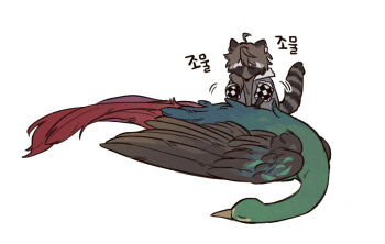 animal_focus animalization bird commentary_request full_body g0ng_g0ng getian_(reverse:1999) korean_commentary korean_text name_day_(reverse:1999) no_humans raccoon reverse:1999 simple_background sleeping translation_request white_background