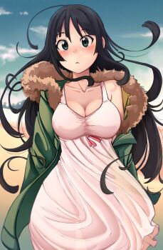 Rule 34 | 1girl, absurdres, akiyama mio, black eyes, black hair, blue sky, blush, breasts, choppy bangs, cleavage, closed mouth, coat, collarbone, commentary, cowboy shot, day, dilan griz, dress, english commentary, fur-trimmed coat, fur trim, green coat, highres, k-on!, large breasts, long hair, looking at viewer, messy hair, open clothes, open coat, outdoors, single bare shoulder, sky, solo, white dress