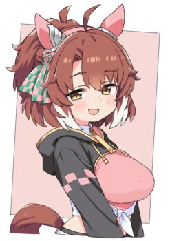 1girl ahoge animal_ears black_shrug border breasts brown_background brown_eyes brown_hair brown_tail dantsu_flame_(center_spotlight)_(umamusume) dantsu_flame_(umamusume) ear_covers highres hood hood_down hooded_shrug horse_ears horse_girl horse_tail large_breasts light_blush looking_at_viewer midriff moru_(monaka) open_mouth outside_border ponytail shrug_(clothing) simple_background smile solo tail umamusume white_border white_streaks