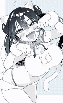 Rule 34 | 1girl, alternate costume, animal ears, arched back, bell, blue background, blush, bow, bowtie, breasts, cat ears, cat tail, commentary request, cuffs, double bun, fake animal ears, fake tail, fang, fuzzy clothes, hair between eyes, hair bun, hair ornament, hairclip, highres, international cat day, kaba yuuji, kakunaru ue wa, large breasts, long hair, miyamoto niina, monochrome, neck bell, neck ribbon, official art, open mouth, panties, paw hair ornament, paw pose, ribbon, solo, tail, thong, twintails, two-tone background, underwear, white background, wrist cuffs