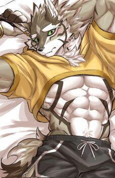 1boy abs animal_ears bara black_shorts blush commentary_request crop_top earrings fang furry furry_male highres hood hood_down hoodie jackal_boy jackal_ears jackal_tail jewelry looking_at_viewer lying male_focus muscular muscular_male navel on_back on_bed pectorals robo_tyan seth_(housamo) shorts skin_fang tokyo_houkago_summoners yellow_hoodie