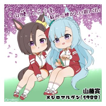 2girls :d air_groove_(umamusume) animal_ears blue_hair blush braid brown_hair buruma capriccyo cellphone chibi commentary_request crown_braid flower grass hair_between_eyes highres holding holding_phone horse_ears horse_girl horse_tail jacket long_hair long_sleeves mejiro_ardan_(umamusume) multiple_girls on_grass open_mouth parted_bangs parted_lips petals phone puffy_long_sleeves puffy_sleeves purple_eyes purple_flower red_buruma red_jacket red_shorts shoes shorts sitting smile socks tail track_jacket translation_request twitter_username umamusume very_long_hair white_shoes white_socks