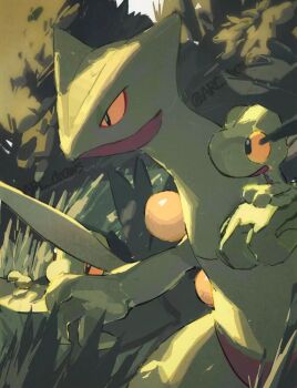 arc_draws artist_name black_eyes closed_mouth colored_sclera colored_skin gen_3_pokemon grass green_skin highres nintendo no_humans outdoors pokemon pokemon_(creature) pokemon_focus pokemon_on_arm sceptile treecko twitter_username yellow_sclera