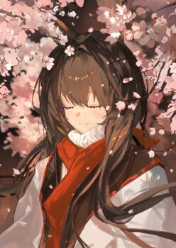 1girl absurdres amiya_(arknights) arknights black_hair cherry_blossoms closed_eyes closed_mouth coat falling_petals hair_between_eyes highres kissshotmagia long_hair petals red_scarf scarf solo straight_hair sweater white_coat white_sweater