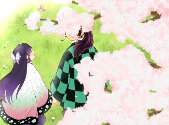1girl alternate_universe animal_print belt bug butterfly butterfly_hair_ornament butterfly_print checkered_clothes checkered_haori cherry_blossoms closed_eyes couple demon_slayer_uniform earrings flower good_end gradient_hair hair_ornament hanafuda_earrings haori highres holding_hands insect japanese_clothes jewelry kamado_tanjirou kimetsu_no_yaiba kimono kishimen_hair kochou_shinobu long_hair multicolored_hair outdoors petals pkhoahue purple_butterfly scar scar_on_face scar_on_forehead smile tree white_belt wisteria