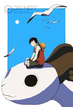 Rule 34 | 1boy, bird, black hair, blue sky, border, closed mouth, facial scar, falling feathers, feathers, from side, full body, fur-trimmed shorts, fur trim, going merry, hat, highres, indian style, looking up, male focus, monkey d. luffy, one piece, outdoors, outside border, pirate ship, red vest, scar, scar on cheek, scar on face, short hair, shorts, silver mssk, sitting, sky, smile, solo, straw hat, unworn hat, unworn headwear, vest, white bird, white border