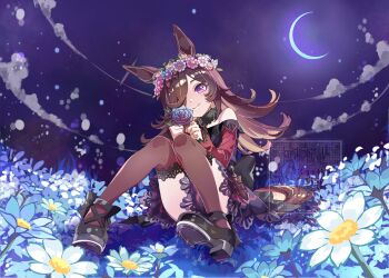 1girl animal_ears bare_shoulders bin_ze_u black_thighhighs blue_flower blue_rose blush brown_hair closed_mouth commentary_request crescent_moon dagger dress flipped_hair flower fur_choker hair_over_one_eye hat head_wreath highres holding holding_flower horse_ears horse_girl horse_tail knife long_hair long_sleeves looking_at_viewer moon off-shoulder_dress off_shoulder purple_eyes rice_shower_(rosy_dreams)_(umamusume) rice_shower_(umamusume) rose sheath sheathed shoes sitting smile solo tail thighhighs thighs umamusume weapon