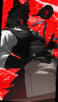 1boy ? arm_behind_back bara black_fur black_vest body_fur chinese_commentary collar commentary_request cowboy_shot flesh furry furry_male heavy_breathing highres holding holding_leash holding_own_leash leash looking_at_viewer male_focus original red_background red_eyes shirt sohungr599123 solo spoken_question_mark tongue tongue_out vest white_shirt wolf_boy