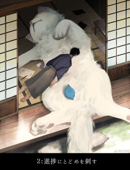 1boy animal barefoot bird black_hair blue_bird book cat commentary_request fantasy fluffy japanese_clothes kimono lying monokubo on_back on_stomach original oversized_animal paper pawpads pen scenery short_hair shouji sleeping sliding_doors table translation_request white_cat
