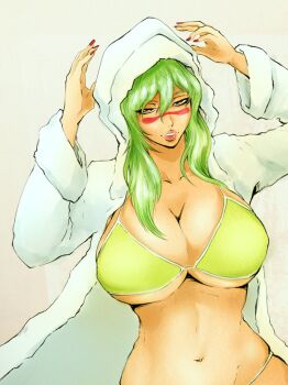 1girl bikini bleach breasts collarbone espada facial_mark female_focus green_hair jacket large_breasts legs_together lips long_hair looking_at_viewer navel nelliel_tu_odelschwanck parted_lips solo solo_focus standing steam stomach swimsuit thighs upper_body veeepawoon