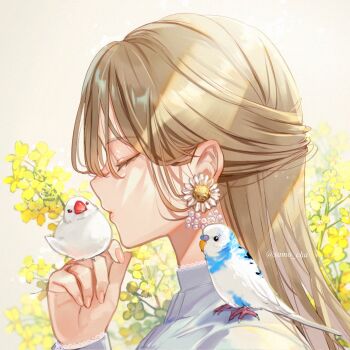 1girl animal animal_on_shoulder bird bird_on_hand bird_on_shoulder brown_hair budgerigar_(bird) closed_mouth daisy_(flower) earrings eyebrows_hidden_by_hair flower flower_earrings frilled_sleeves frills from_side half_updo high_collar highres java_sparrow jewelry light_rays long_hair long_sleeves object_kiss original profile samo_cha shirt solo sparrow upper_body white_bird white_java_sparrow white_shirt yellow_flower