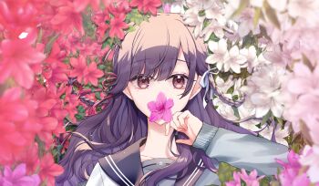 1girl absurdres blue_sailor_collar braid brown_eyes commentary_request facing_viewer flower hand_up highres long_hair original pale_skin pink_flower portrait purple_hair red_flower sailor_collar sakura_yuto single_braid solo white_flower