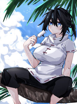 :| absurdres aqua_eyes black_hair blue_sky breasts chinese_clothes closed_mouth food highres holding holding_food holding_popsicle in_tree large_breasts light_blush on_tree original outdoors palm_tree popsicle rinrikoko shade shirt short_sleeves shorts side_ponytail sidelocks sitting sitting_in_tree sky spread_legs sweat tree unkempt white_shirt